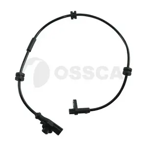 30651 OSSCA