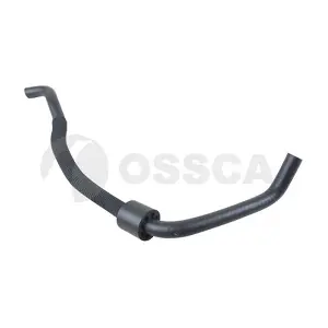 60029 OSSCA