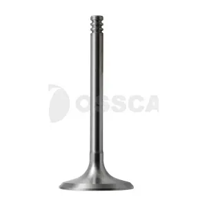 05890 OSSCA