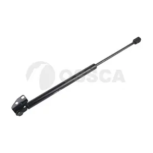 21420 OSSCA