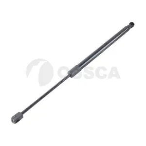 60658 OSSCA