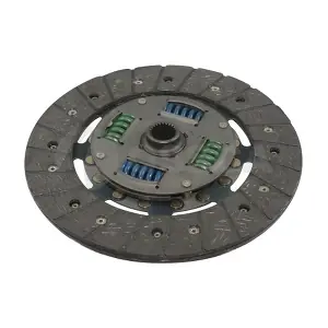 05595 OSSCA