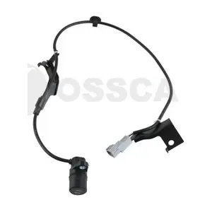 30533 OSSCA