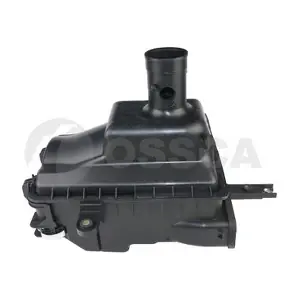 21231 OSSCA