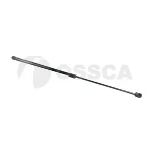 25183 OSSCA