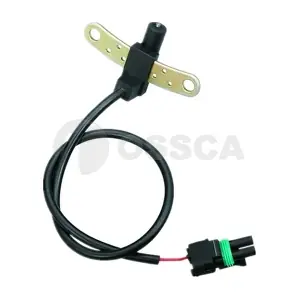 30309 OSSCA
