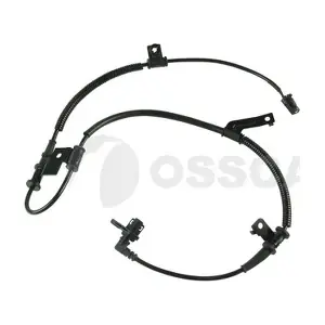 30828 OSSCA