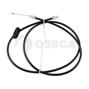 50089 OSSCA