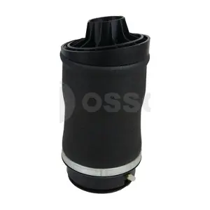 17849 OSSCA