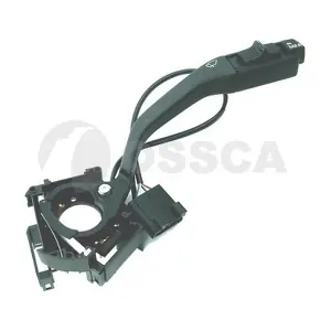 01895 OSSCA
