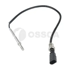 24619 OSSCA