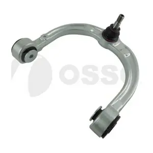 12460 OSSCA