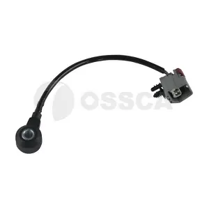 31501 OSSCA