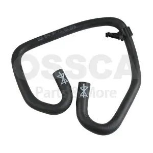 55544 OSSCA