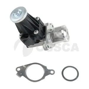 40462 OSSCA