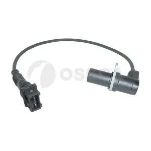 05046 OSSCA