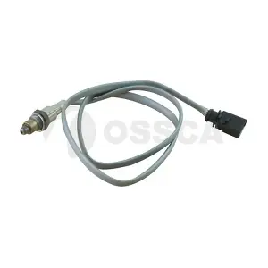 72991 OSSCA