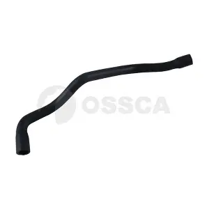 54186 OSSCA