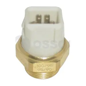 24311 OSSCA