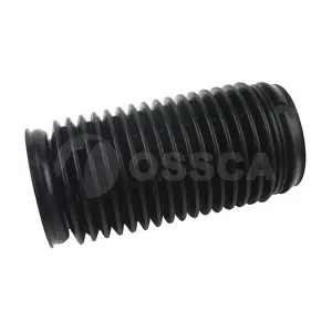 24876 OSSCA