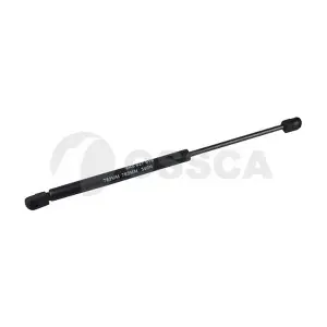 09601 OSSCA