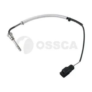 32306 OSSCA