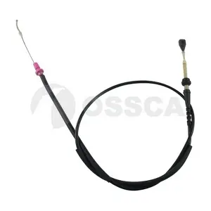 24681 OSSCA