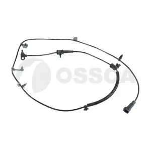 36231 OSSCA