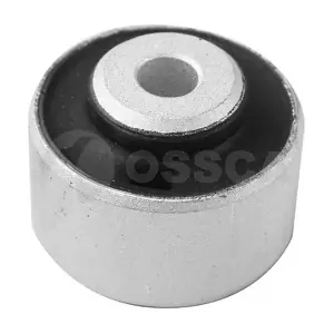 29333 OSSCA