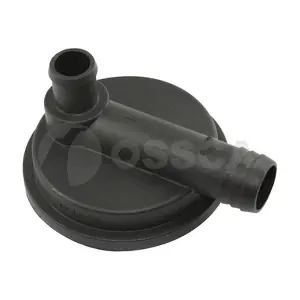 05539 OSSCA