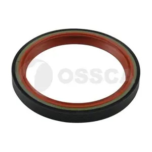 13423 OSSCA