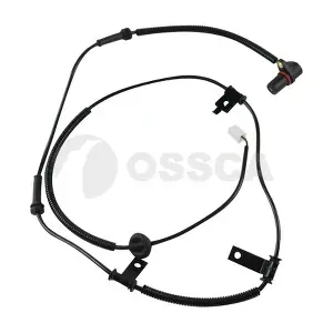 16946 OSSCA