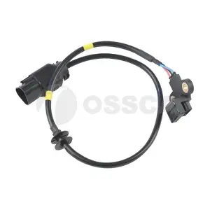 21124 OSSCA