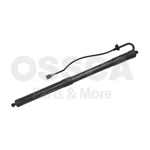 78250 OSSCA