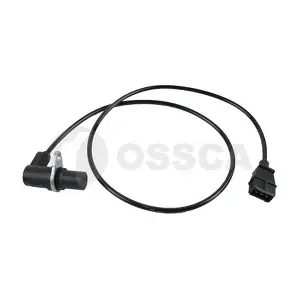 10919 OSSCA