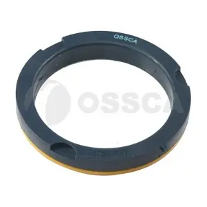 01009 OSSCA