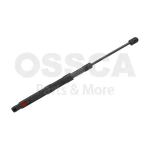 60128 OSSCA
