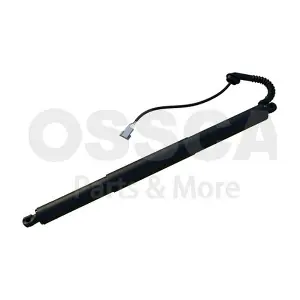 62904 OSSCA