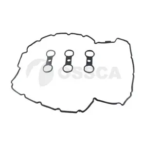 17691 OSSCA