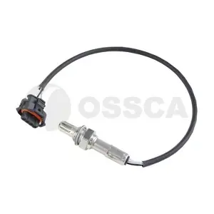 41462 OSSCA