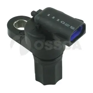 10819 OSSCA