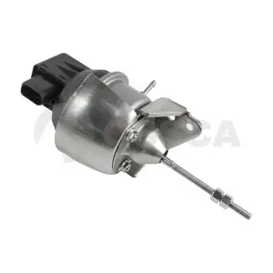 52956 OSSCA