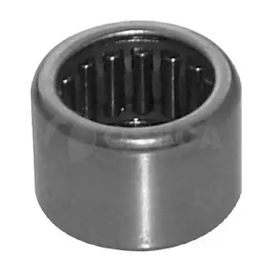 00481 OSSCA