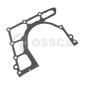 06995 OSSCA