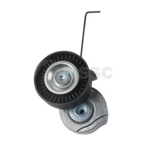 48166 OSSCA