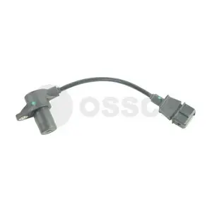31462 OSSCA