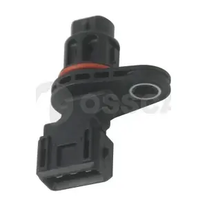 10336 OSSCA