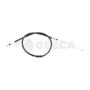 50104 OSSCA
