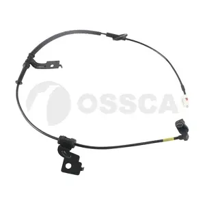 65307 OSSCA