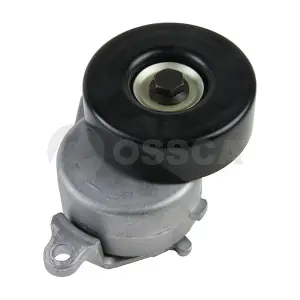 12580 OSSCA